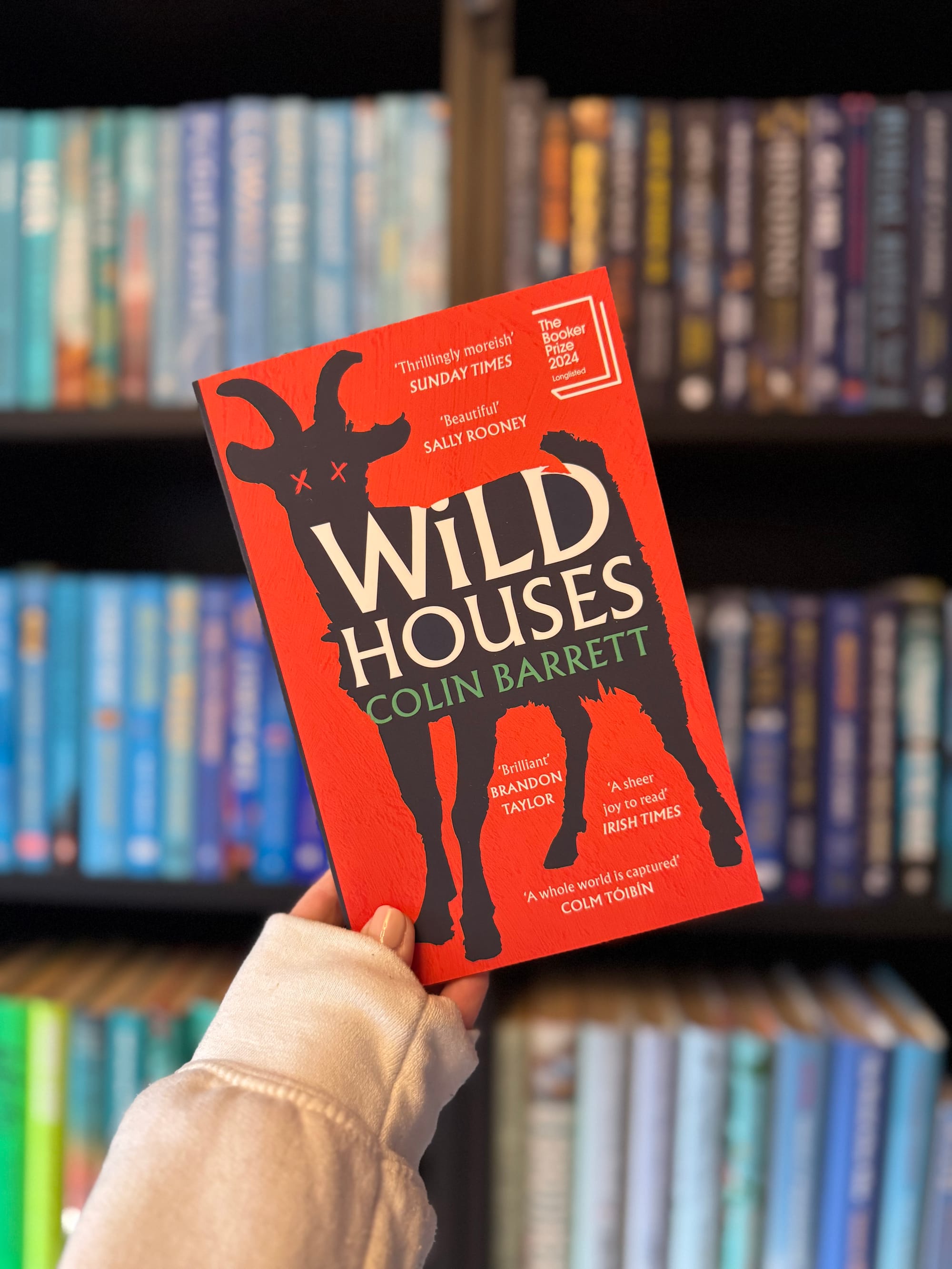 Hand holding "Wild Houses" by Colin Barrett, red cover, goat silhouette. Blurred colorful books in the background, bookshelf setting.