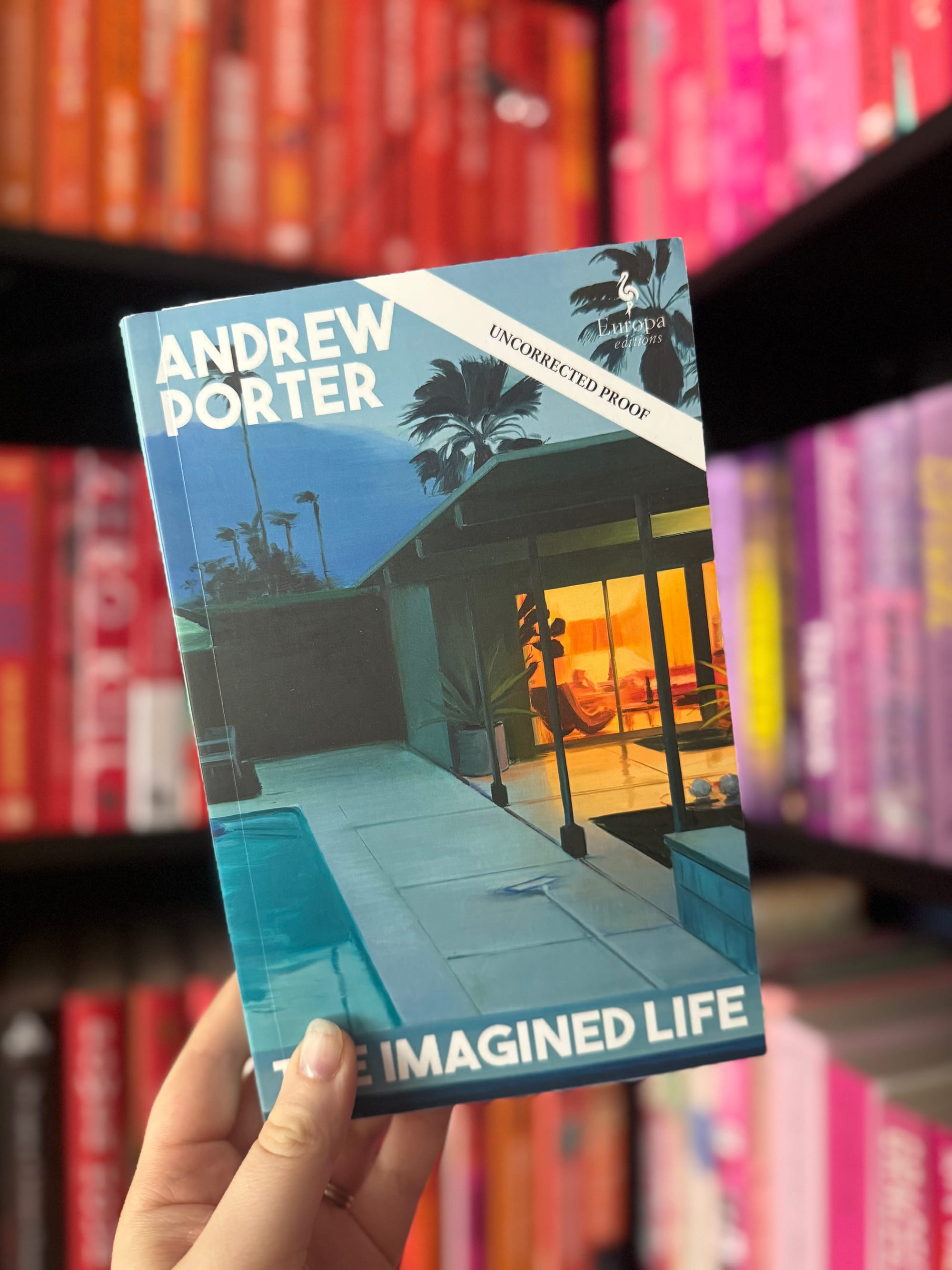 A hand holds a book titled "The Imagined Life" by Andrew Porter. The cover shows a poolside evening scene. Background of colorful bookshelves.