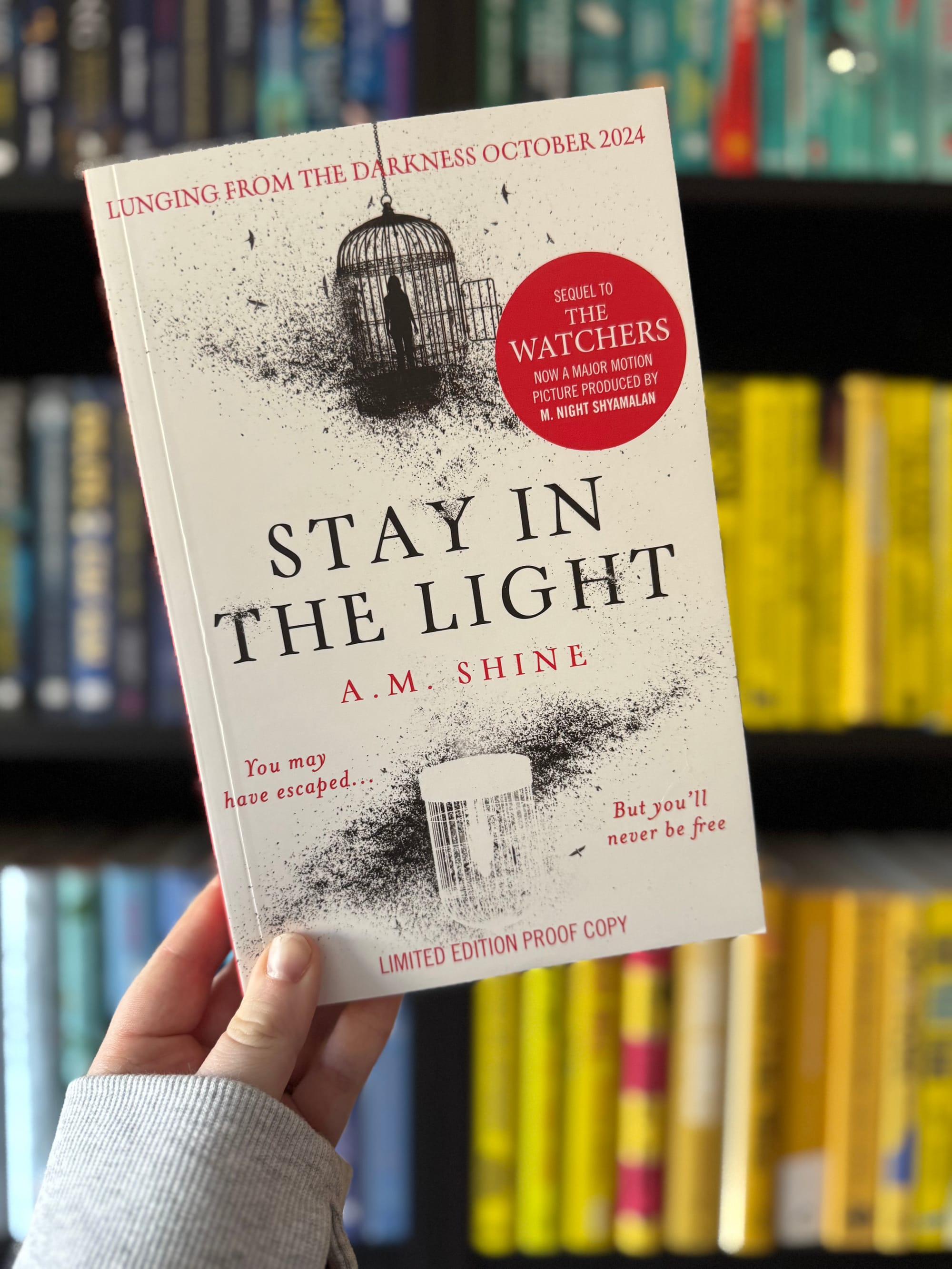 Hand holding a book titled "Stay in the Light" by A.M. Shine, with a black birdcage illustration. Background shows a colorful bookshelf.