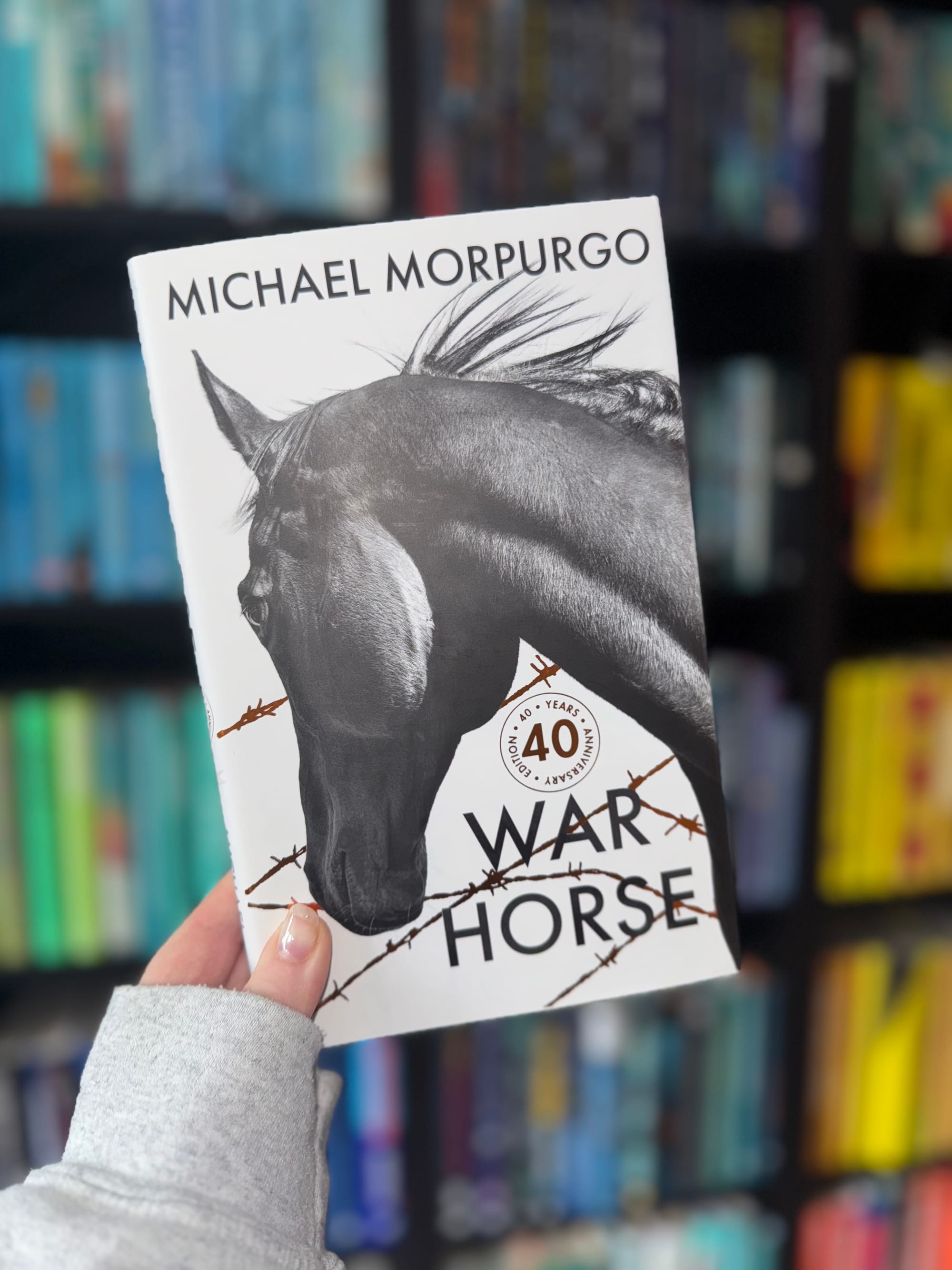 A hand holds the 40th anniversary edition of War Horse by Michael Morpurgo. The white cover shows a black horse’s head with barbed wire across the design. Bookshelves filled with colourful spines are blurred in the background.