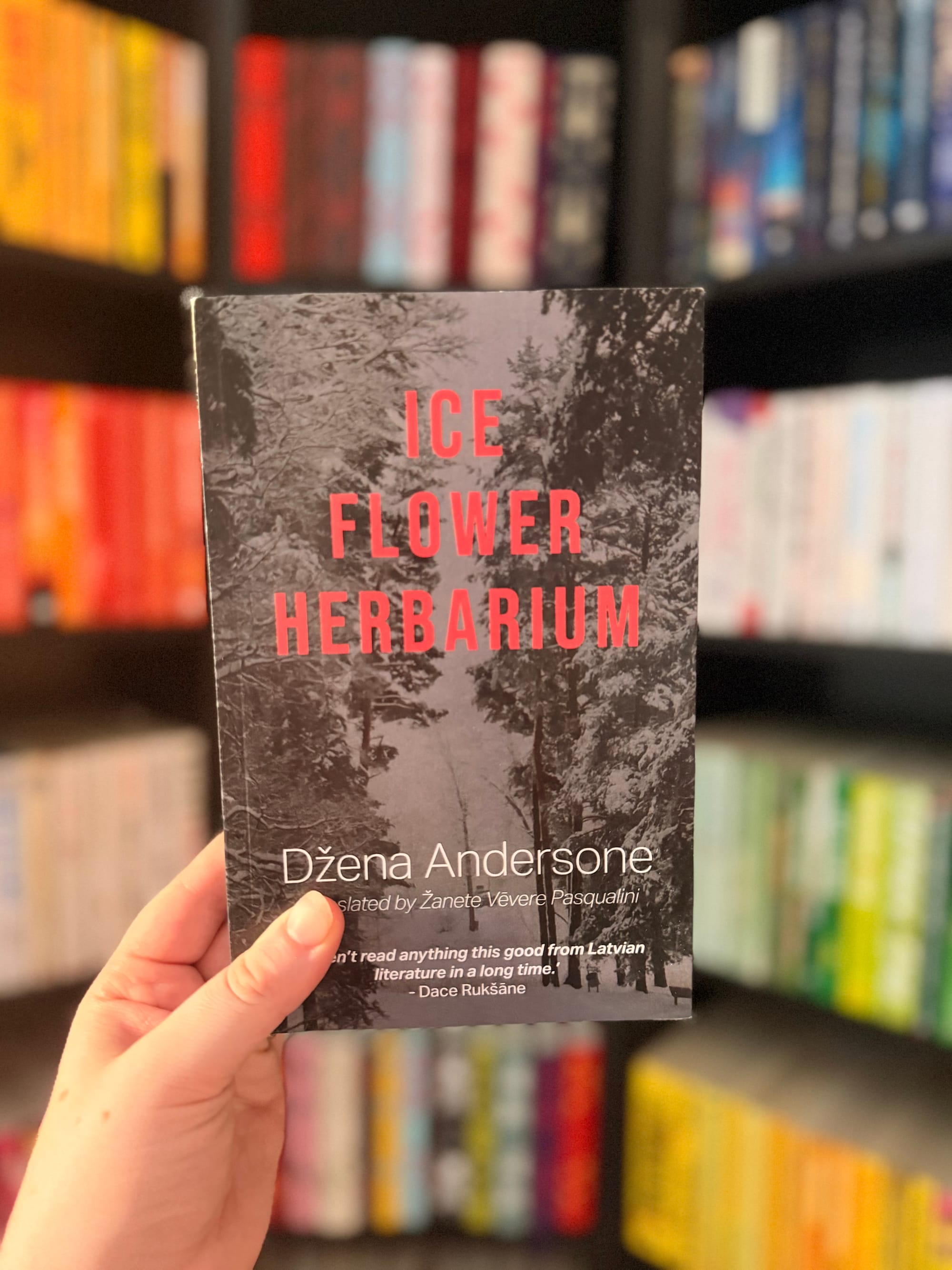 A hand holds a copy of Ice Flower Herbarium by Džena Andersone in front of a softly blurred bookshelf filled with colour-coordinated books. The cover features a black-and-white photograph of a snowy forest with the title in bold red lettering.