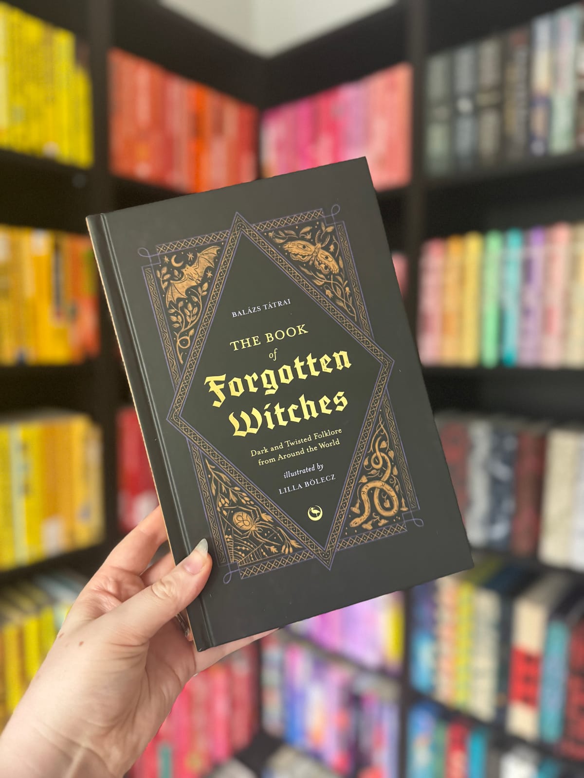 The Book of Forgotten Witches 🧙🏻‍♀️