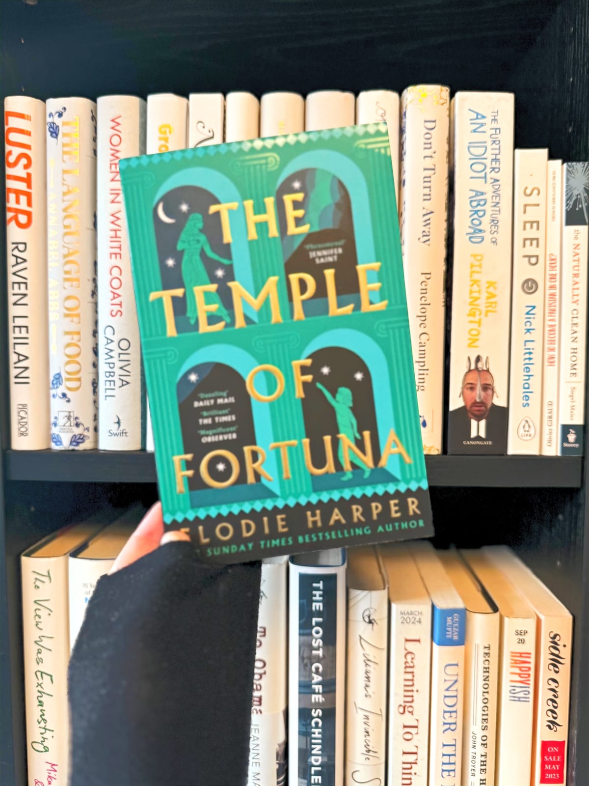 The Temple of Fortuna 🐺✨