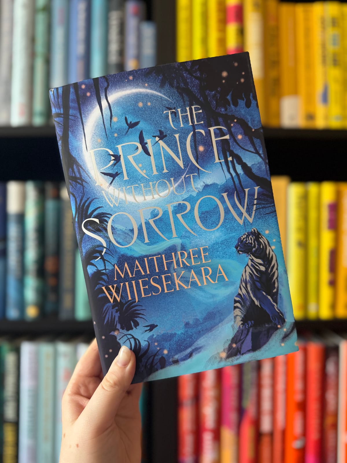 Book Mail Round-Up 💌