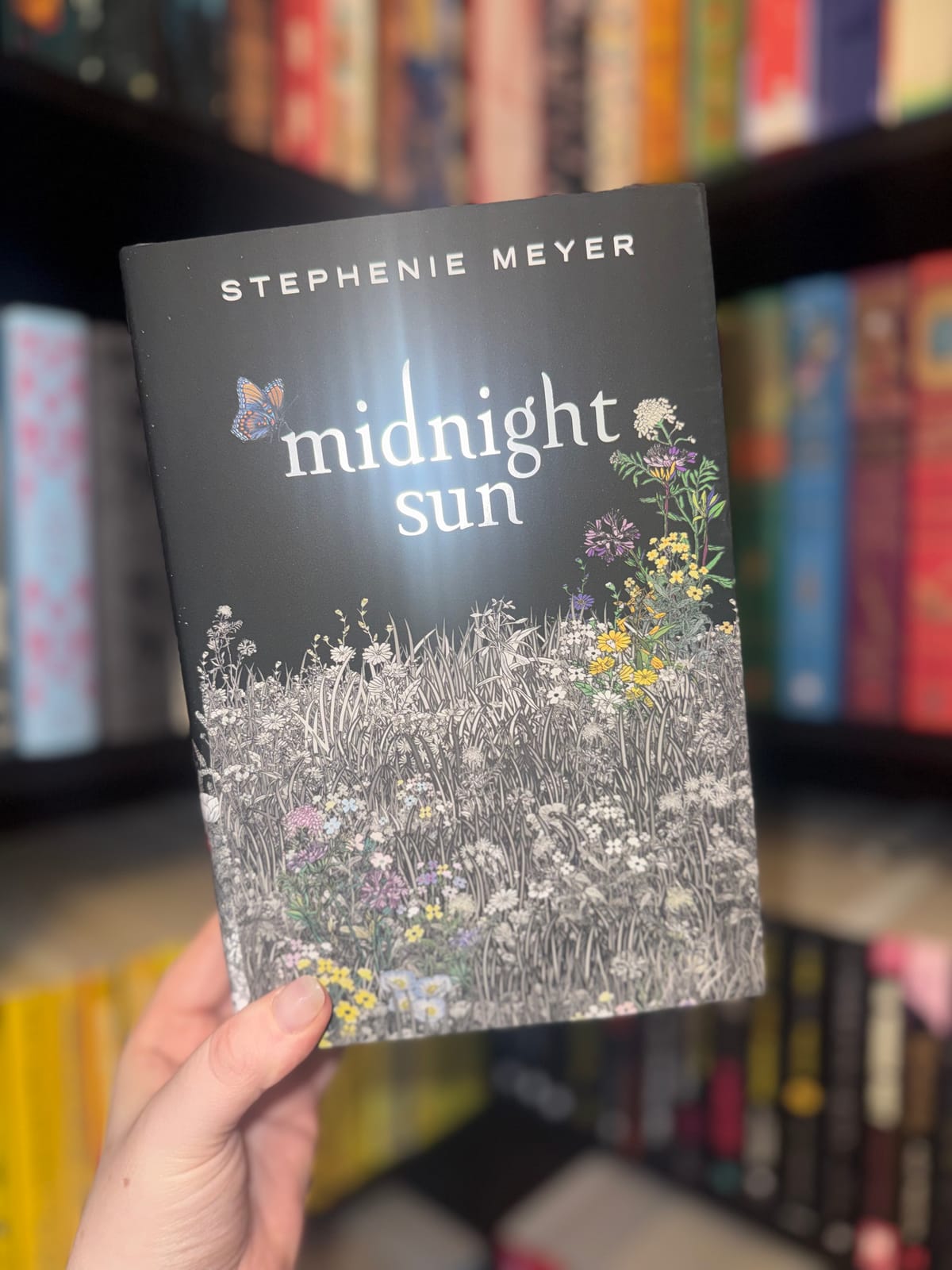 Midnight Sun ☾🌞