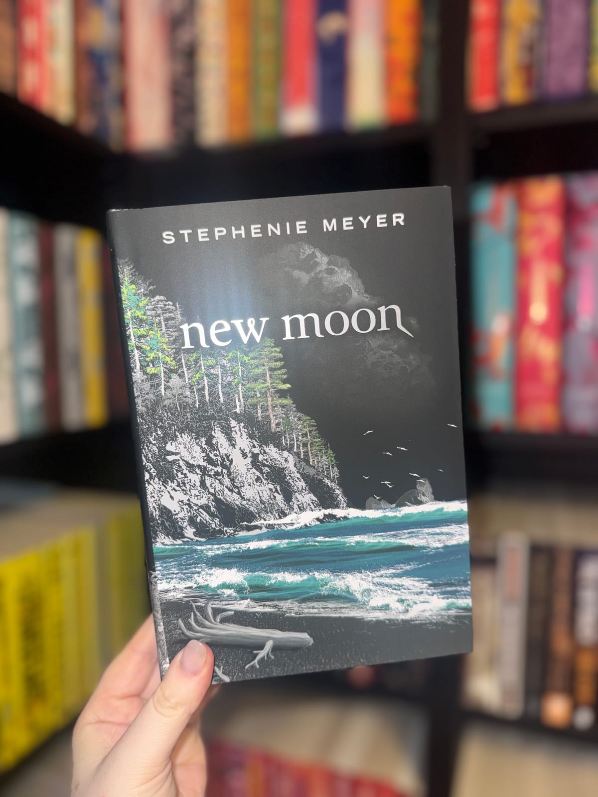 New Moon 🌚