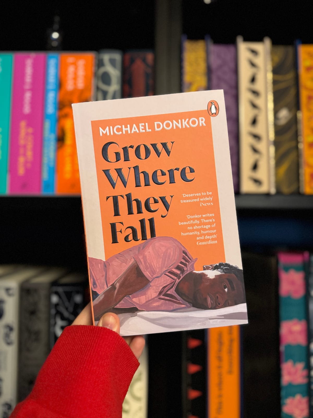 Grow When They Fall 🌳
