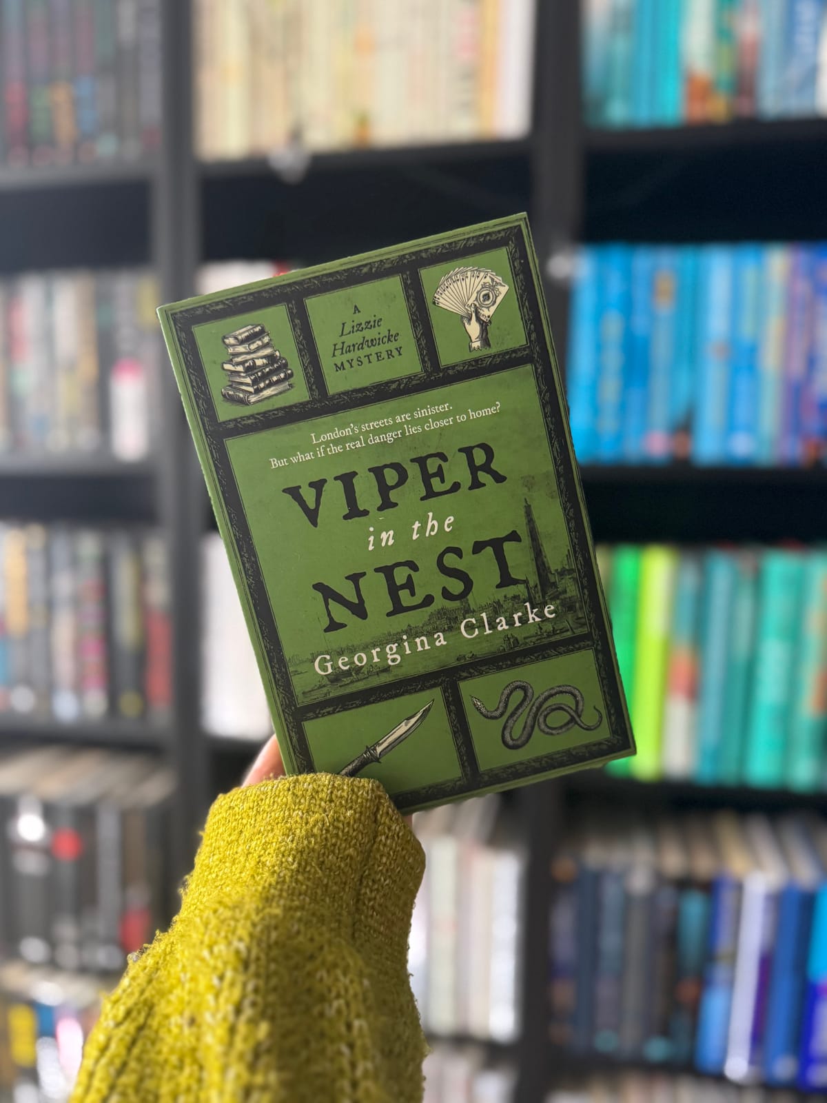 Viper In The Nest 🐍