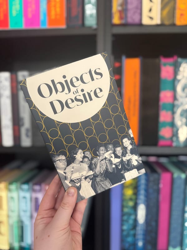 Objects of Desire: A dark, moving and wickedly funny tale of art and betrayal
